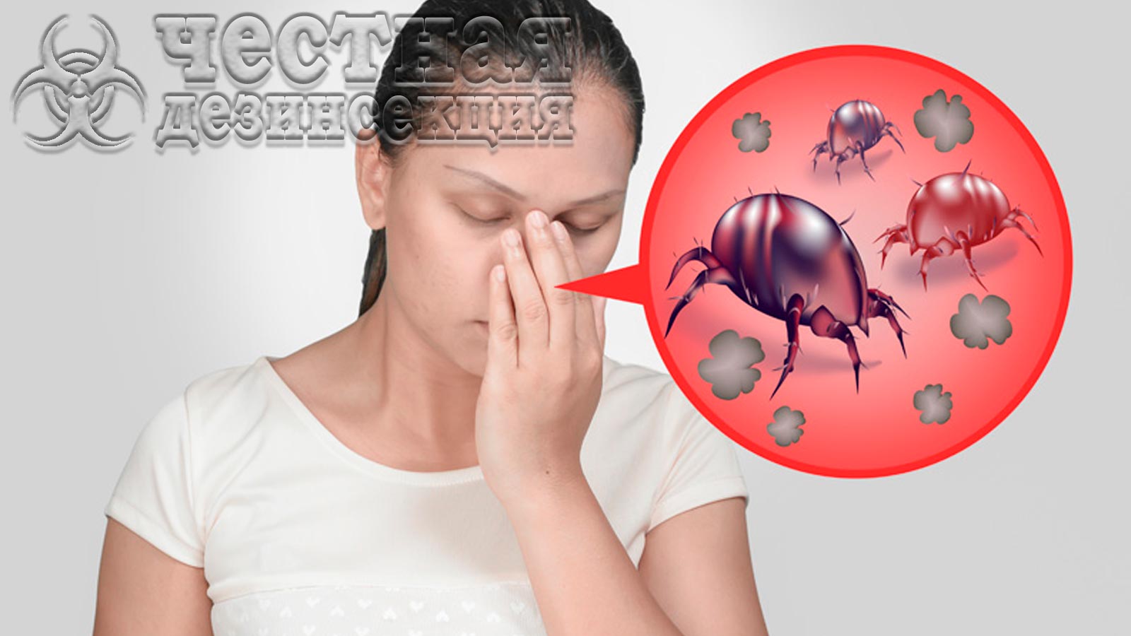Аллергия на пылевых клещей