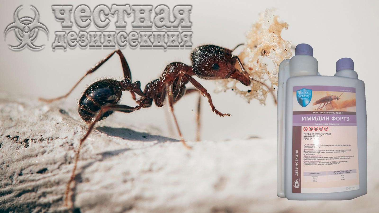 Инсектицид Имидин от муравьев