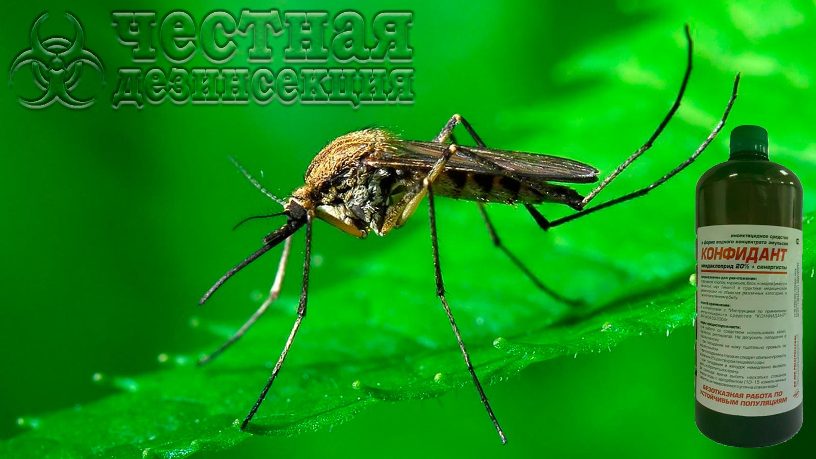 Конфидант от комаров